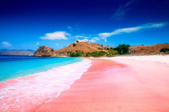 Pantai Pink Labuan Bajo