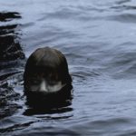 sungai musi palembang