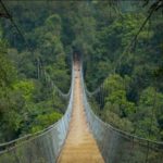 jembatan gantung terpanjang di indonesia
