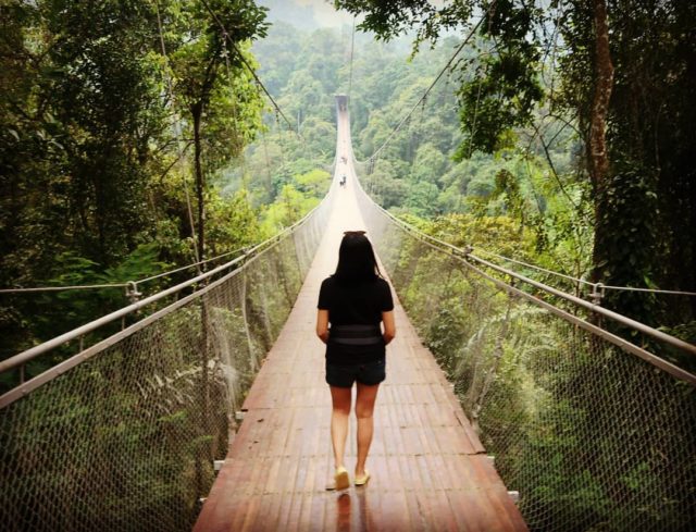 Situ Gunung Suspension Bridge, Jembatan Gantung Terpanjang 