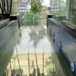 kolam renang transparan