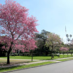 destinasi tersembunyi di jakarta