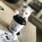 Cutie Cats Cafe