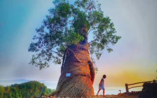 Indahnya Geoforest Watu Payung Gunungkidul Bak Negeri Dongeng