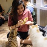 Cutie Cats Cafe