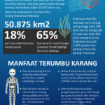 Infografik Indonesia dan Terumbu Karang, Keindahan Ribuan Tahun yang Harus Dijaga