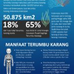 Infografik Indonesia dan Terumbu Karang, Keindahan Ribuan Tahun yang Harus Dijaga.