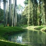 taman langsat mayestik