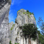 timor tengah selatan