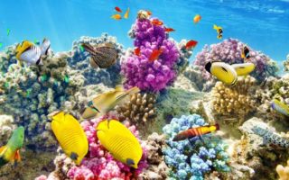 wisata di raja ampat