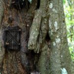 kuburan-bayi-di-pohon-di-toraja-utara_20141209_092518