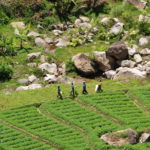 desa wisata di malang