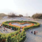 kebun bunga celosia di yogyakarta