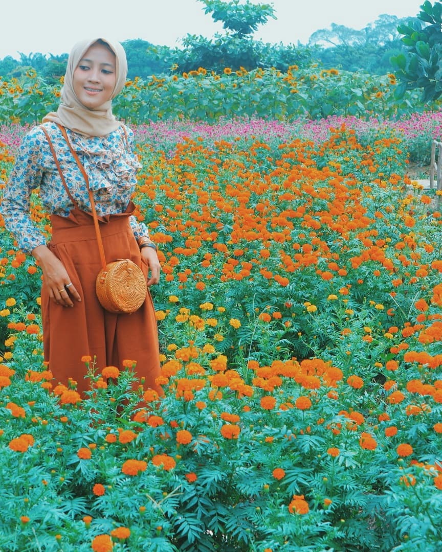 Taman Bunga Okura, Destinasi Berjuta Bunga Kekinian Di Pekanbaru