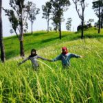 bukit lalang panjang