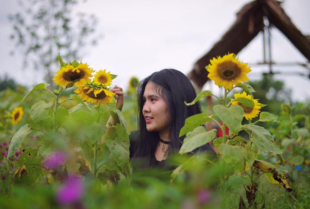 Taman Bunga Okura, Destinasi Berjuta Bunga Kekinian Di Pekanbaru
