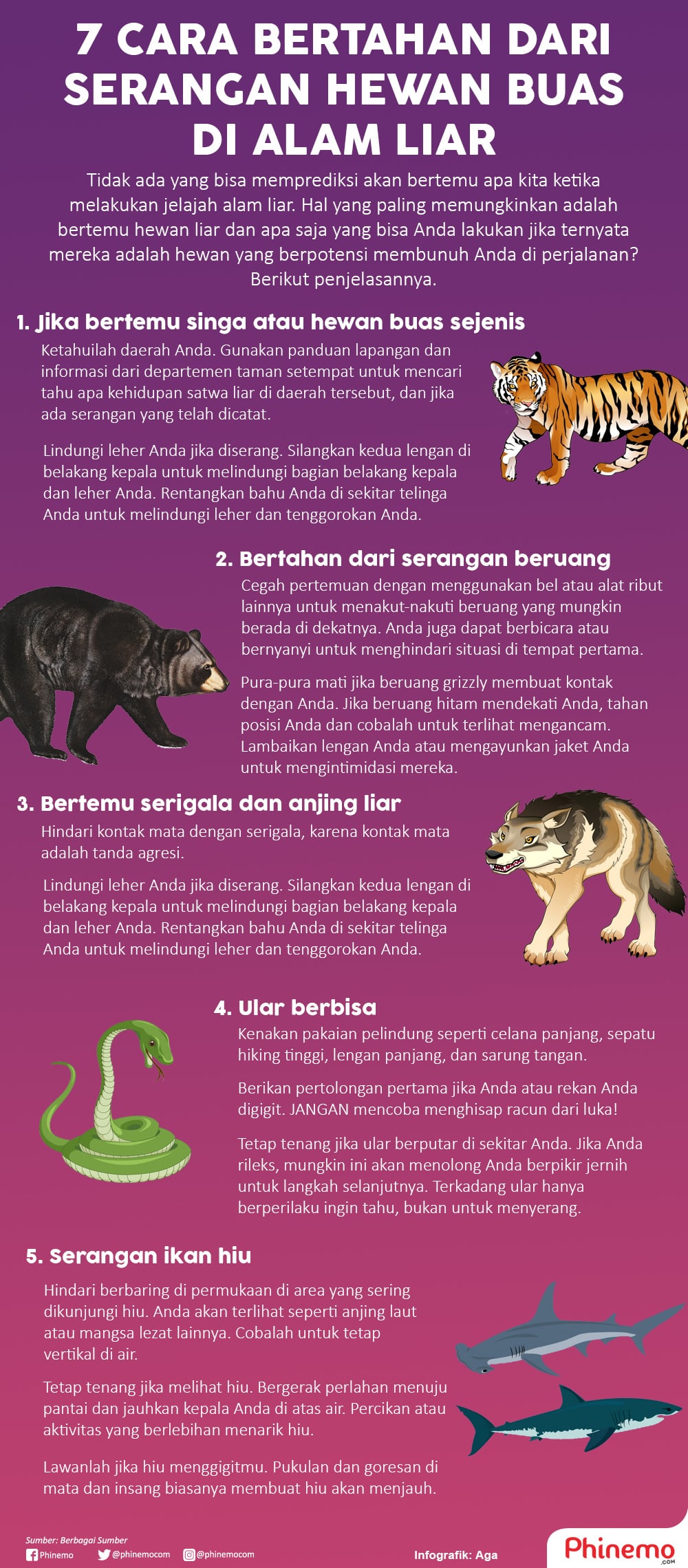 Infografik 7 Cara Bertahan dari Serangan Binatang Buas di Alam Liar. 