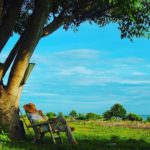 giri layar lombok