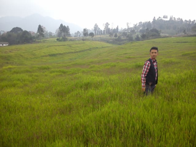 padang Savana Cihideung
