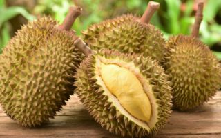 sriwijaya air bawa durian