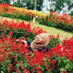 Dusun Bambu Leisure Family Park