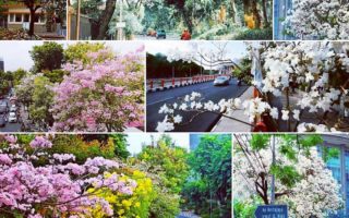 9 Potret Surabaya yang Mirip Negeri Sakura Jepang