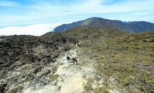 Pantai Galesong Destinasi Serba Ada Di Kota Makassar