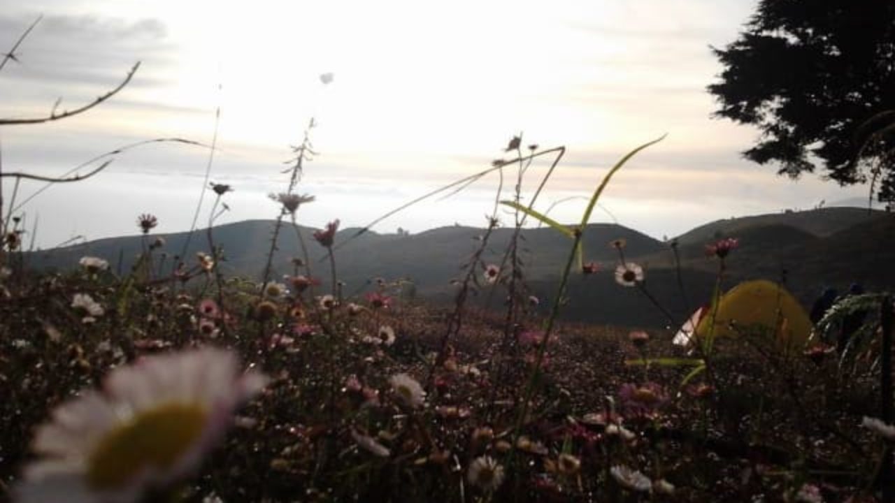 Gunung Prau 1 1280x720 Jpg