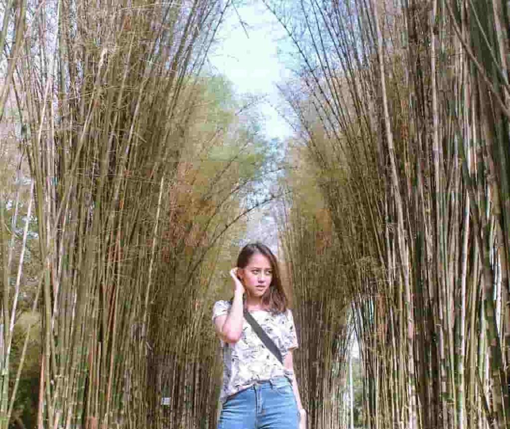 Hutan Bambu Surabaya Phinemo