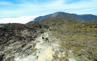 Inilah Jalur Pendakian Gunung Latimojong yang Perlu Kamu Tahu jalur pendakian gunung latimojong