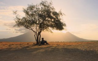 Taman Nasional Baluran, Wisata Ala Afrika di Jawa Timur Taman Nasional Baluran
