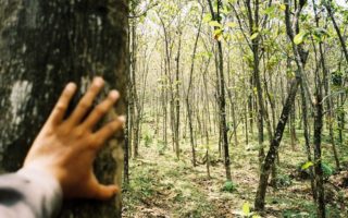 Tersesat di Hutan? Ini 5 Hal Penting yang Harus Kamu Lakukan tersesat di hutan
