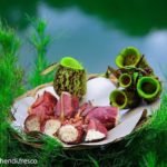 lemang kantong semar