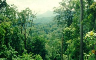 misteri orang pendek