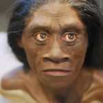 homo floresiensis