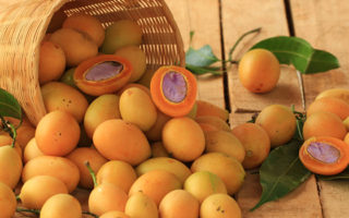 buah asli indonesia