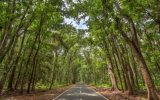 4 Destinasi Wisata di Banyuwangi yang Terkenal Sangat Angker