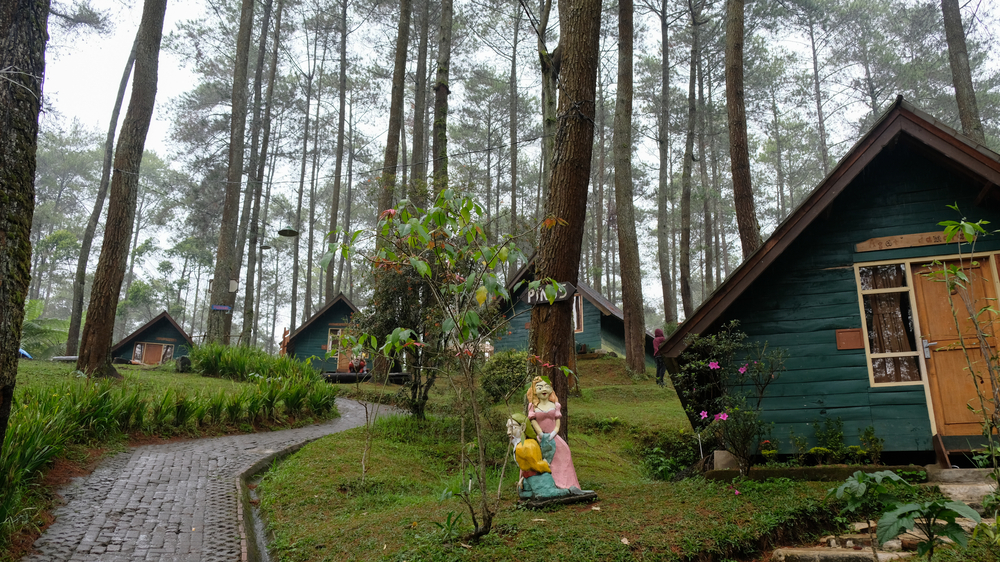 Tempat Wisata Bandung Jungle Orchid 5 Kota Wisata di Indonesia yang Dapat Dijangkau dengan 