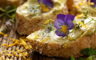 7 Spesies Edible Flower, Bunga Cantik yang Bisa Dimakan bunga yang bisa dimakan