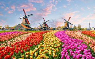 7 Peraturan Unik di Belanda yang Harus Dipatuhi Setiap Wisatawan