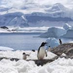 7bdd10b1c7d739345b4c988fe8a24d31