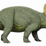 1280px-Triceratops_liveDB