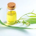 015163100_1507705563-Mengapa-Orang-Suka-Pakai-Minyak-Kayu-Putih-saat-Kedinginan