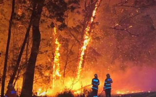 kebakaran hutan australia