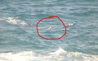 Visa Tinggal Habis, WNA Nekat Berenang dari Timor Leste ke Australia visa tinggal