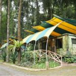 safari lodge hotel puncak