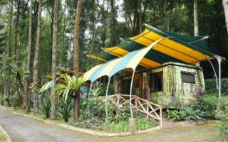 safari lodge hotel puncak