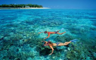 Tempat Snorkeling di Bintan Tercemar Minyak, Potret Buruk Pengelolaan Limbah snorkeling di bintan