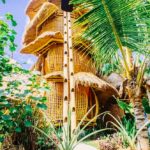 l_e88c2d265f9ea2f8214b711a095fc85b