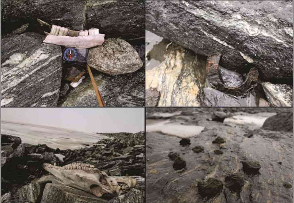 Kehidupan Bangsa Viking 